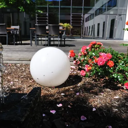 فندق Borussia 3*