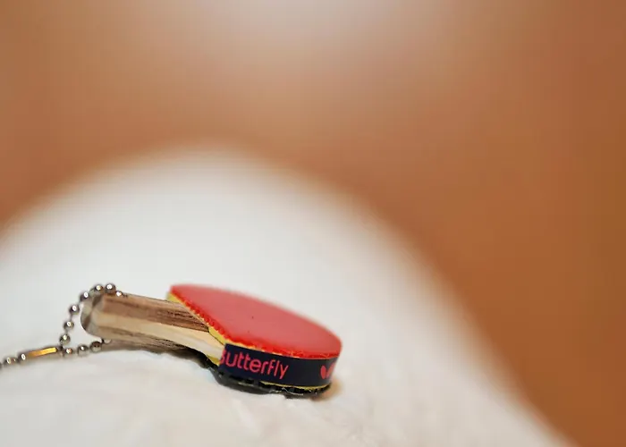 酒店 杜塞尔多夫门兴运动酒店 杜塞尔多夫