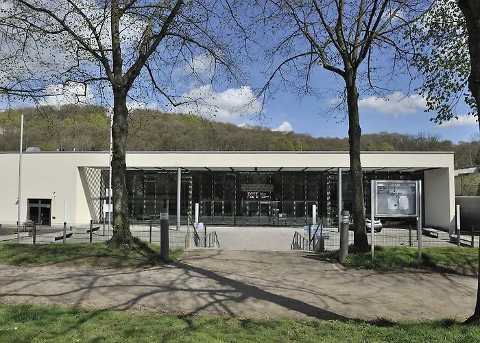 Borussia דיסלדורף