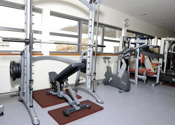 杜塞尔多夫门兴运动酒店 酒店 杜塞尔多夫